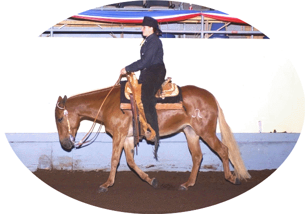 Cowboy, ridden by Lacy Fagg, at the 2003 NASMA World Show.